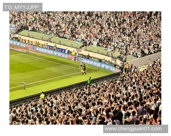 热血沸腾的泰国足球比赛揭幕赛吸引众多球迷热情参与