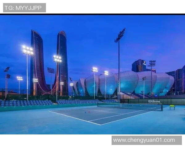 静物足球的魅力探寻：在静谧中感受运动的激情与艺术之美