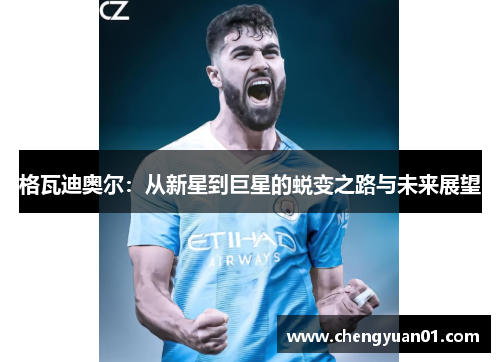 格瓦迪奥尔：从新星到巨星的蜕变之路与未来展望